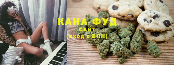 первитин Вяземский